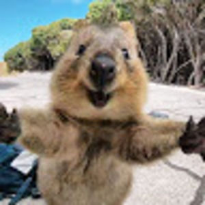 Meet your Posher, Jolene